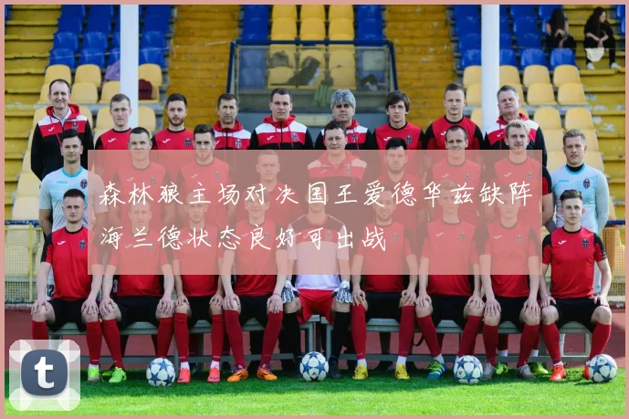 森林狼主场对决国王爱德华兹缺阵海兰德状态良好可出战
