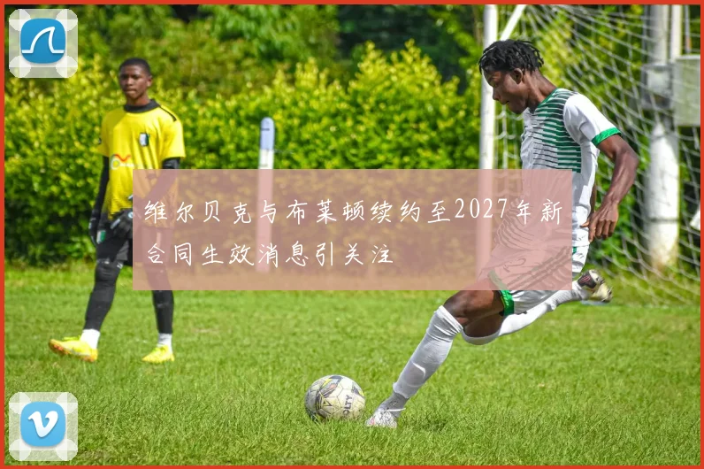 维尔贝克与布莱顿续约至2027年新合同生效消息引关注