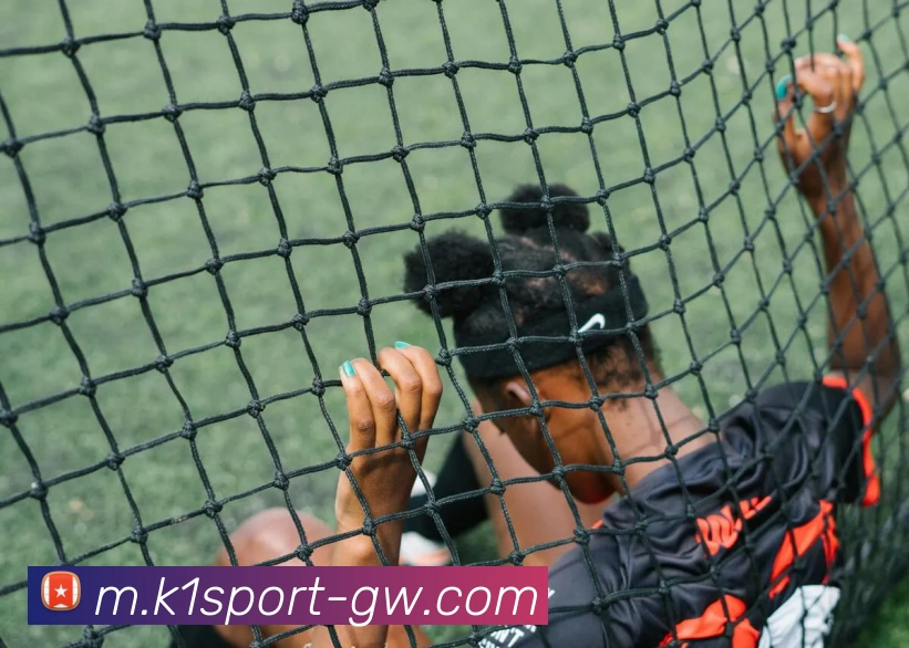 k1体育APP 封面图